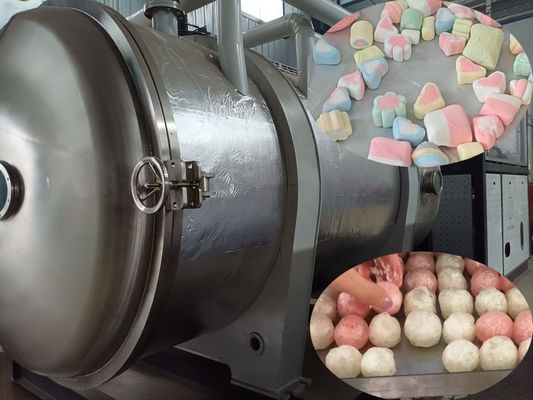 500 kg Secador industrial de alimentos por congelamento Liofilante em grande escala para processamento de alimentos
