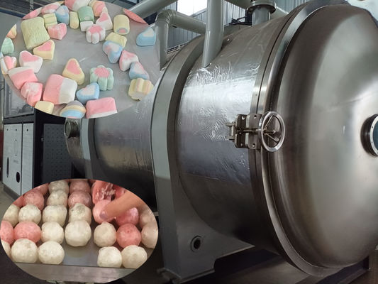 Refrigeração por ar Industrial Secador por congelamento Secador para fabricação industrial Doces congelados secos