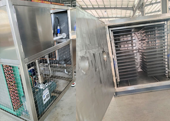 Grande secador de congelamento a vácuo de alimentos para aplicação industrial