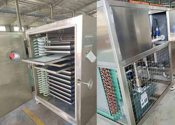 Máquina de secagem por congelamento a vácuo de alimentos 300 kg