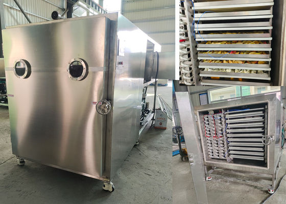 Máquina de secagem por congelamento a vácuo comercial de 100 kg 200 kg