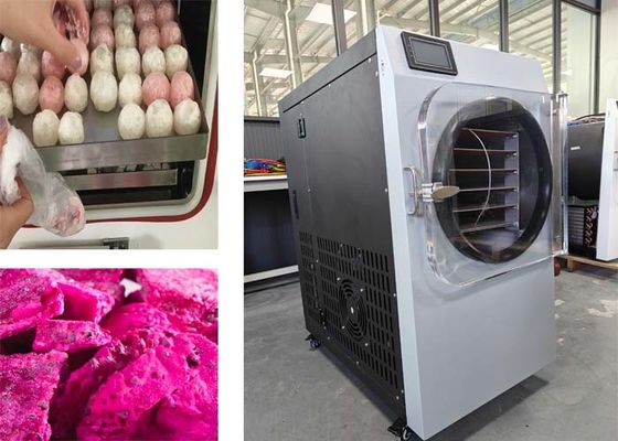 Máquina de secagem por congelamento doméstica de aço inoxidável de 2 kW para conservação de alimentos