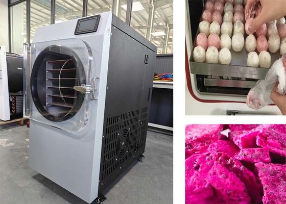Sistema de controlo PLC 304 máquina de secagem por congelamento de aço inoxidável para uso doméstico