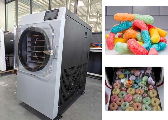 Máquina de secagem por congelamento de doces Compra de gelados de chocolate Máquina de secagem por congelamento de chocolate Capacidade 6KG