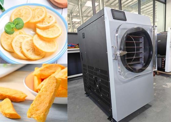 Aquecimento elétrico 304 aço inoxidável secador de alimentos para uso doméstico