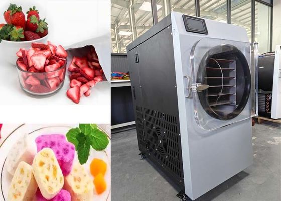 Máquina de secagem por congelamento para casa