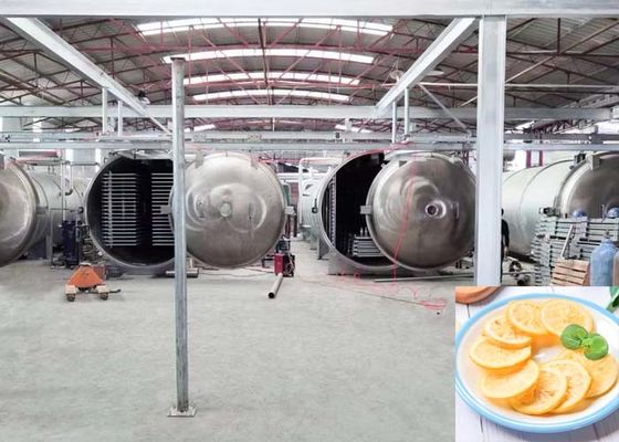 Máquina de secagem por congelamento automática industrial de 1000 kg de capacidade para aplicações alimentares
