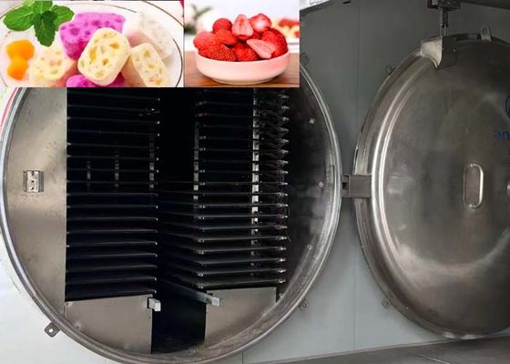 Secador industrial de congelamento de alta capacidade 1000 kg/lotação Nível de vácuo 13 Pa