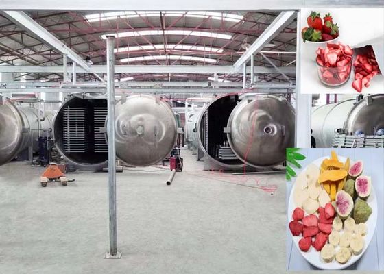 Secador de congelamento industrial avançado com PLC e sistema de controlo remoto