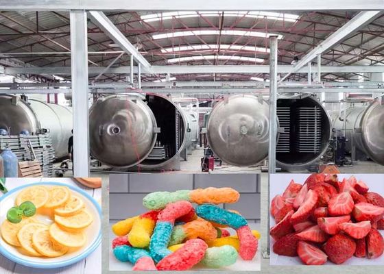 Máquina de secagem por congelamento a vácuo farmacêutica de 1000 kg Tecnologia avançada de secagem