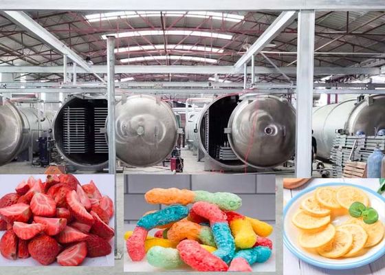 Máquina de secagem por congelamento industrial potente com modo de operação automática