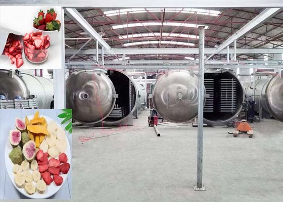 Máquina de secagem por congelamento a vácuo de 1000 kg