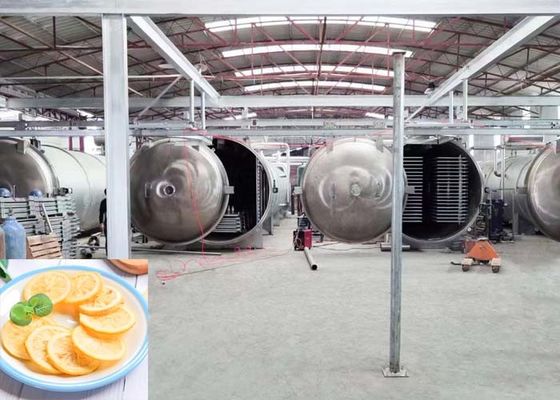 Grande secador por congelamento industrial Capacidade 1000 kg/lotação