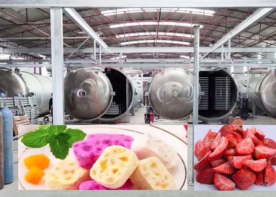 1000Kg Grande Secador de Congelamento para resultados de secagem rápidos 20-24H precisos