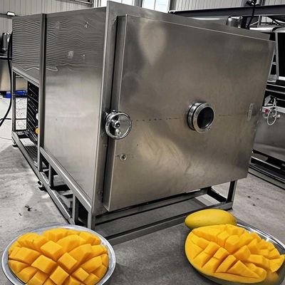 FreezeDryTech Pro Mango Lyophilizer para armazenamento de alimentos para legumes e frutas