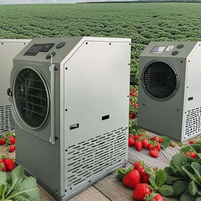 Máquina de liofilização 6kg 10kg 20kg Conservação de alimentos em casa