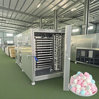 Liofilizador de escala comercial 50 kg Sistema industrial de liofilização para produtos lácteos doces