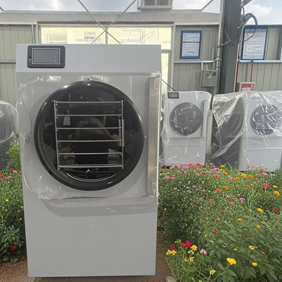 Tecnologia Avançada Compacta 20kg Pequeno Para Casa Secador de Congelamento Frescura Eficiência Energética Mini Uso Diário