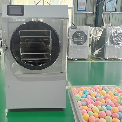 6 KG 10 KG 20 KG Secador rápido Pequeno liofilizador para conservação instantânea de alimentos Economia de espaço