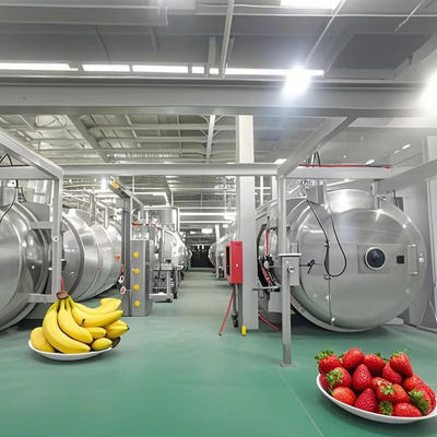 Liofilante pesado 500 kg Secador industrial para congelação para frutas / legumes / café / frutos do mar