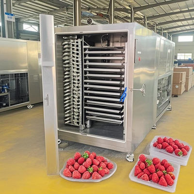200 kg Secador de congelação por lote Controle automático para desidratação de carne / frutas