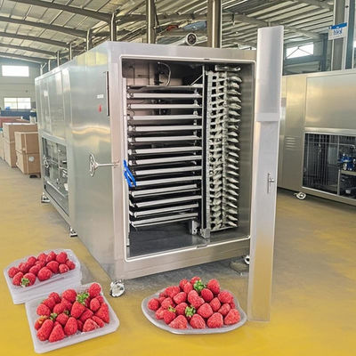 Máquina de secagem por congelamento industrial de aço inoxidável de 50 kg certificada CE para uso em laboratório e fábrica