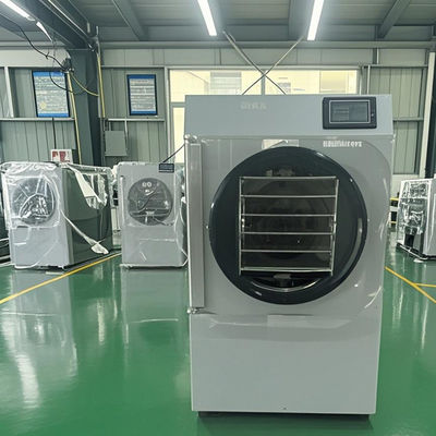 Liofilizador de Laboratório de 10kg, em Conformidade com GMP, para Aplicações Farmacêuticas e Biotecnológicas