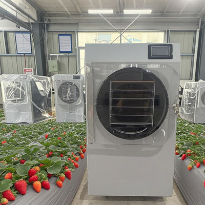 6 kg de piloto de secador de congelamento P&D para produção em pequenos lotes com touchscreen PLC