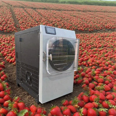 Liofilante comercial com 304 aço inoxidável e bomba Bosch - liofilizador de alta eficiência