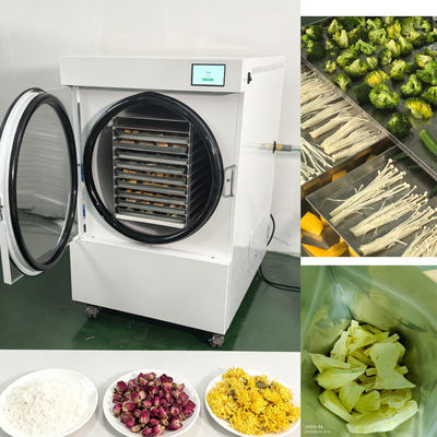 Preserve Your Food with Home Freeze Dryer 24-30 Hours Freeze Dry Cycle Two-stage Baosi Vacuum Pump and Danfoss Compressor