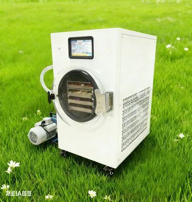 Criar suprimentos de alimentos de emergência Casa Secador de congelação para armazenamento Preparação para emergências Armazenamento de alimentos