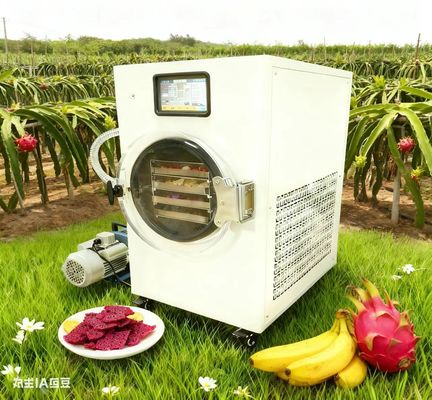 Construir o seu armazenamento de alimentos secador de congelamento para famílias Prepper público-alvo famílias segurança