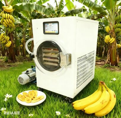 Os frutos secos por congelamento, iogurte e mais com direito de colheita.