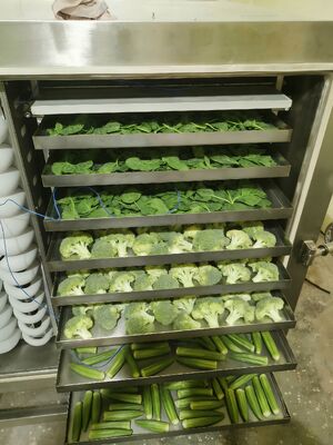 Aquecimento Eléctrico Secador de Congelamento Industrial Câmara de Ofertas Tamanho 12700x2600x3300mm e Tempo de Seca 20 a 24 Horas Ideal para Industrial