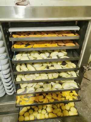 Unidade de refrigeração  Secador de congelamento Potência nominal 200KW Equipamento de secagem por congelamento para indústria farmacêutica, alimentar e química