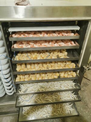 Liofilizador industrial automático com capacidade de lote de 1000kg, ideal para conservação de produtos farmacêuticos, alimentícios e químicos