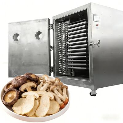 Liofilizador Industrial com Nível de Vácuo Inferior a 13Pa, Sistema de Controle PLC e Aço Inoxidável 304 para Desempenho