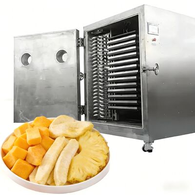 100 kg 200 kg Máquina de liofilização de grande capacidade