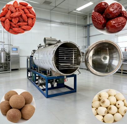 Sistema de controle PLC máquina de liofilização a vácuo oferecendo tamanho de câmara 12700 2600 3300mm perfeito para as indústrias farmacêutica, alimentícia e química