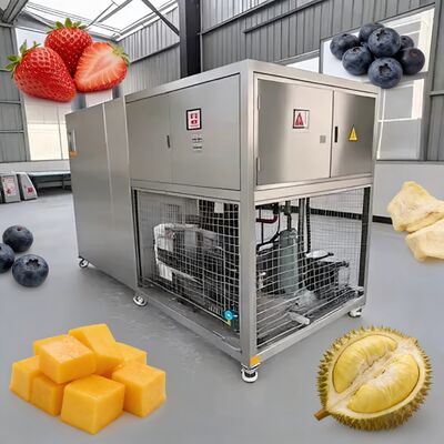 Or Leybold Sistema de refrigeração Alimentos Secador de congelamento a vácuo Equipamento de arrefecimento a ar para alimentos Secagem e armazenamento a congelamento