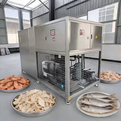 Lotes de 100 kg de alimentos Secador a vácuo congelado com Baosi ou  Bomba a vácuo Secador a congelamento Temperatura de -40 a 80 graus Celsius