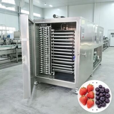 Tamanho da câmara 12700 2600 3300 mm Secador industrial por congelamento, incluindo sistema de controlo PLC e tempo de secagem 20 a 24 horas