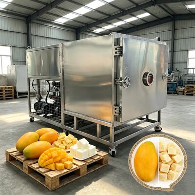 304 Material de bandeja de aço inoxidável Secador de congelação de vegetais Oferecendo modo de operação automática Garantindo desempenho de secagem por congelação