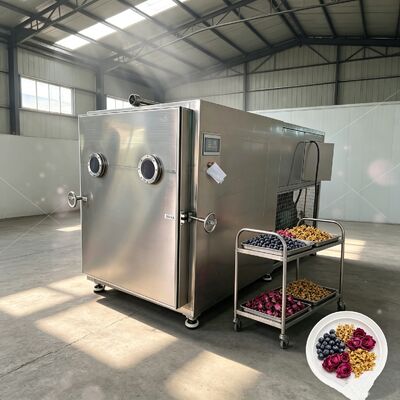 Tamanho global 3800 1700 2000 mm Secador congelado de vegetais com sistema de arrefecimento por ar concebido para aumentar a eficiência do secamento de vegetais